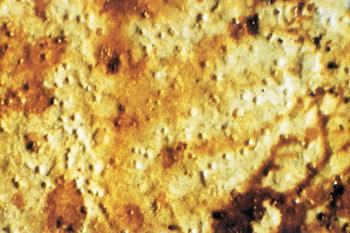 Độ phóng đại 20 lần