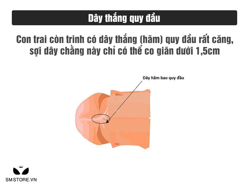 Nhận biết trai tân nhờ dây thắng quy đầu