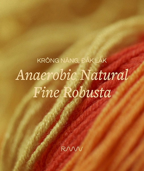 Sản phẩm hạt Dak Lak Fine Robusta