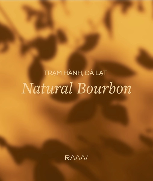 Sản phẩm hạt cà phê Arabica Đà Lạt Natural Bourbon