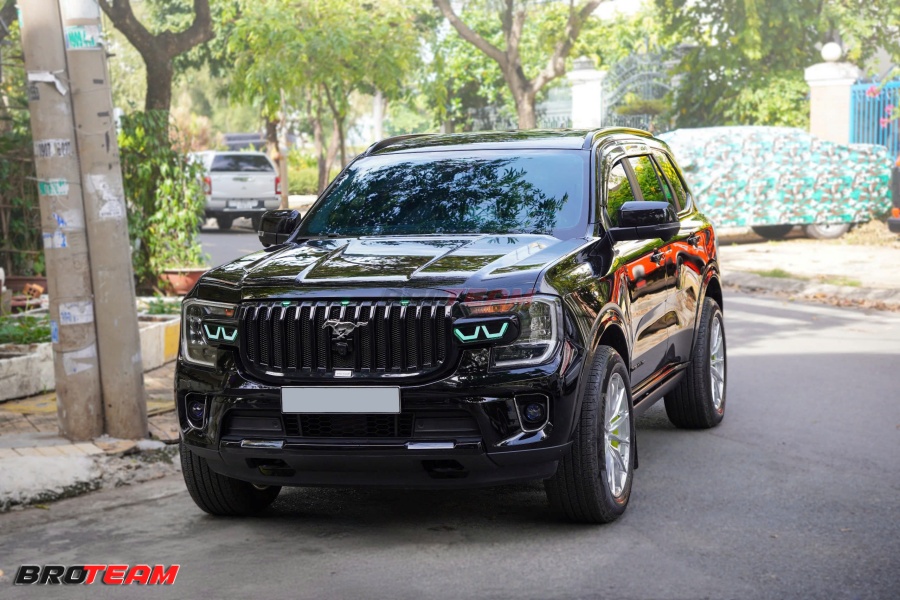 Phuộc Profender hạ gầm cao cấp