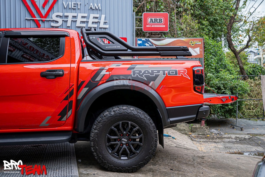 tem Raptor 3.0 V6 decal