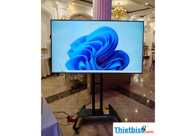 thuê tivi hà nội