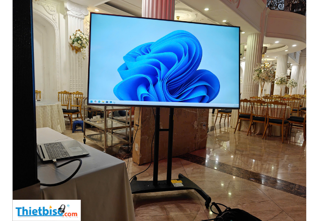 thuê tivi hà nội