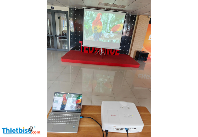 thuê máy chiếu hà nội