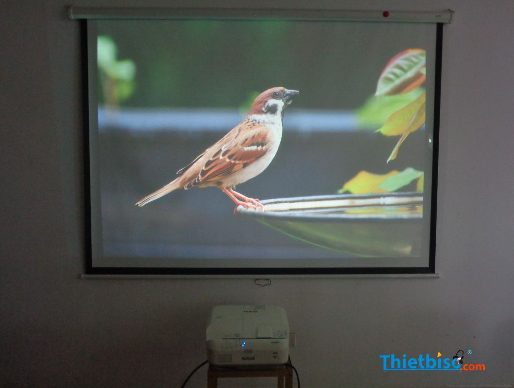 Máy Chiếu EPSON EB-685WT cũ