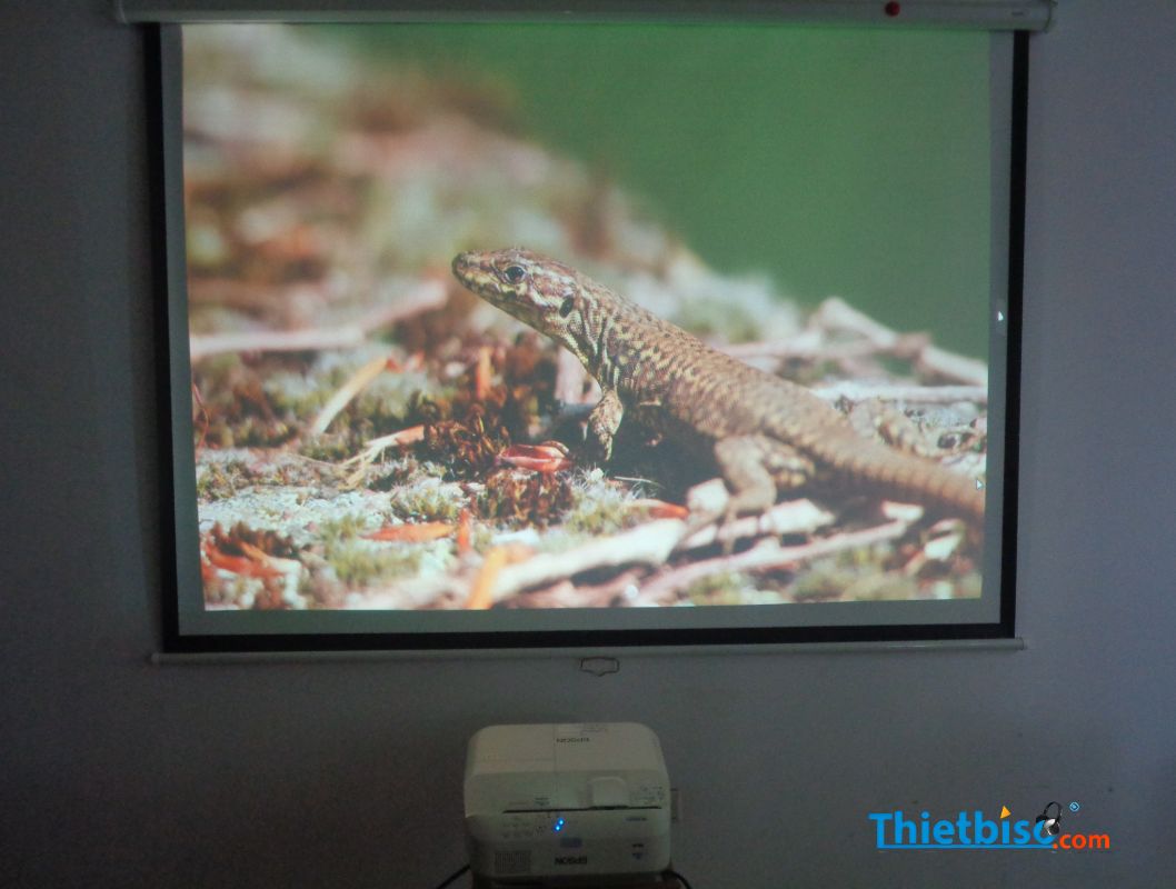 Máy Chiếu Cũ EPSON EB-685WT