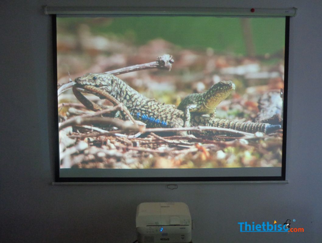 Máy Chiếu Cũ EPSON EB-685WT