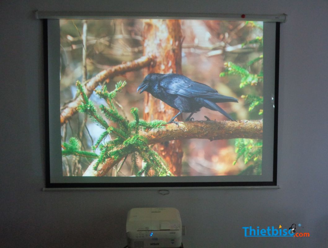 Máy Chiếu Cũ Siêu Gần EPSON EB-685WT