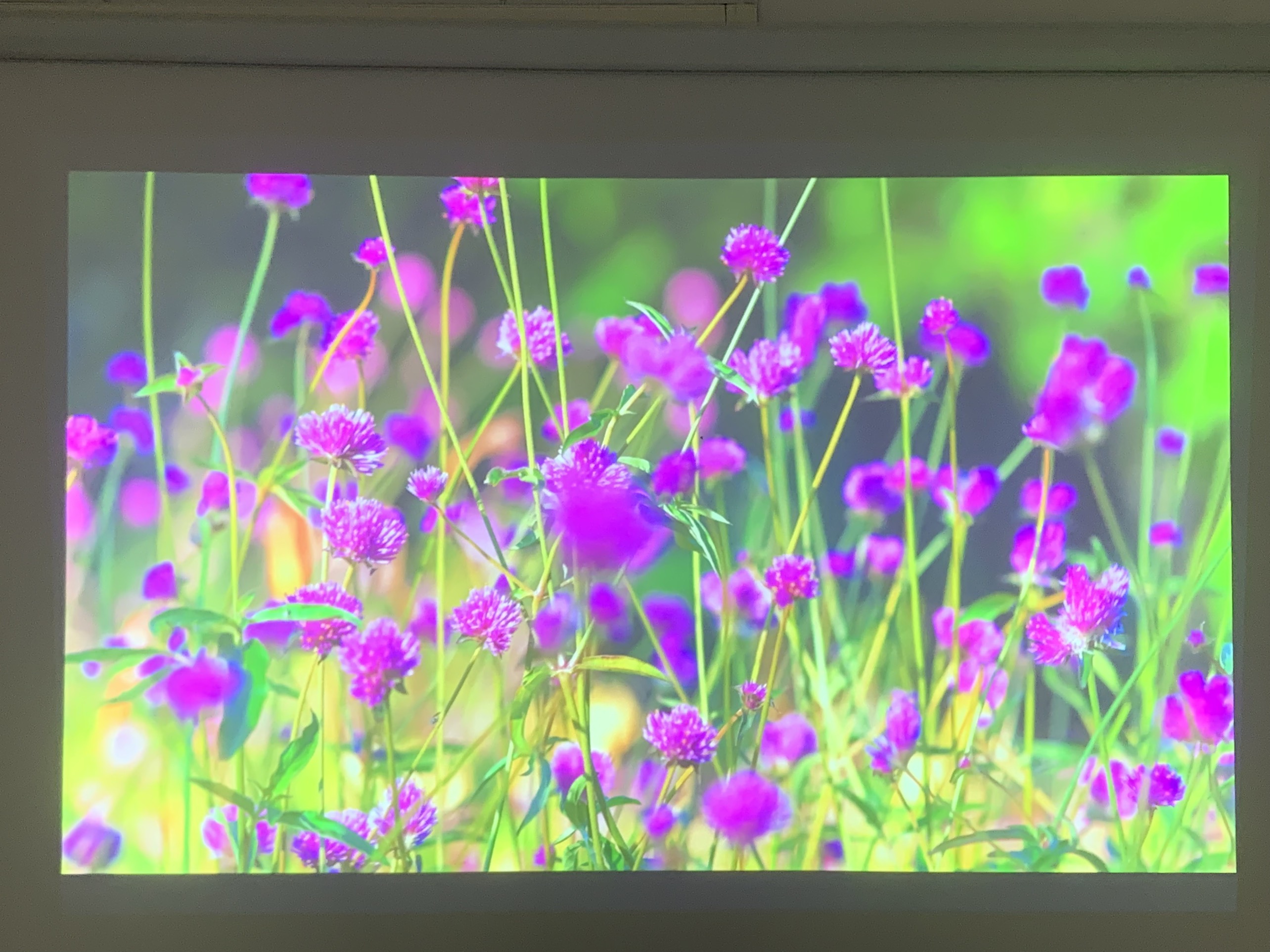 Máy chiếu cũ Epson EB-990U giá rẻ