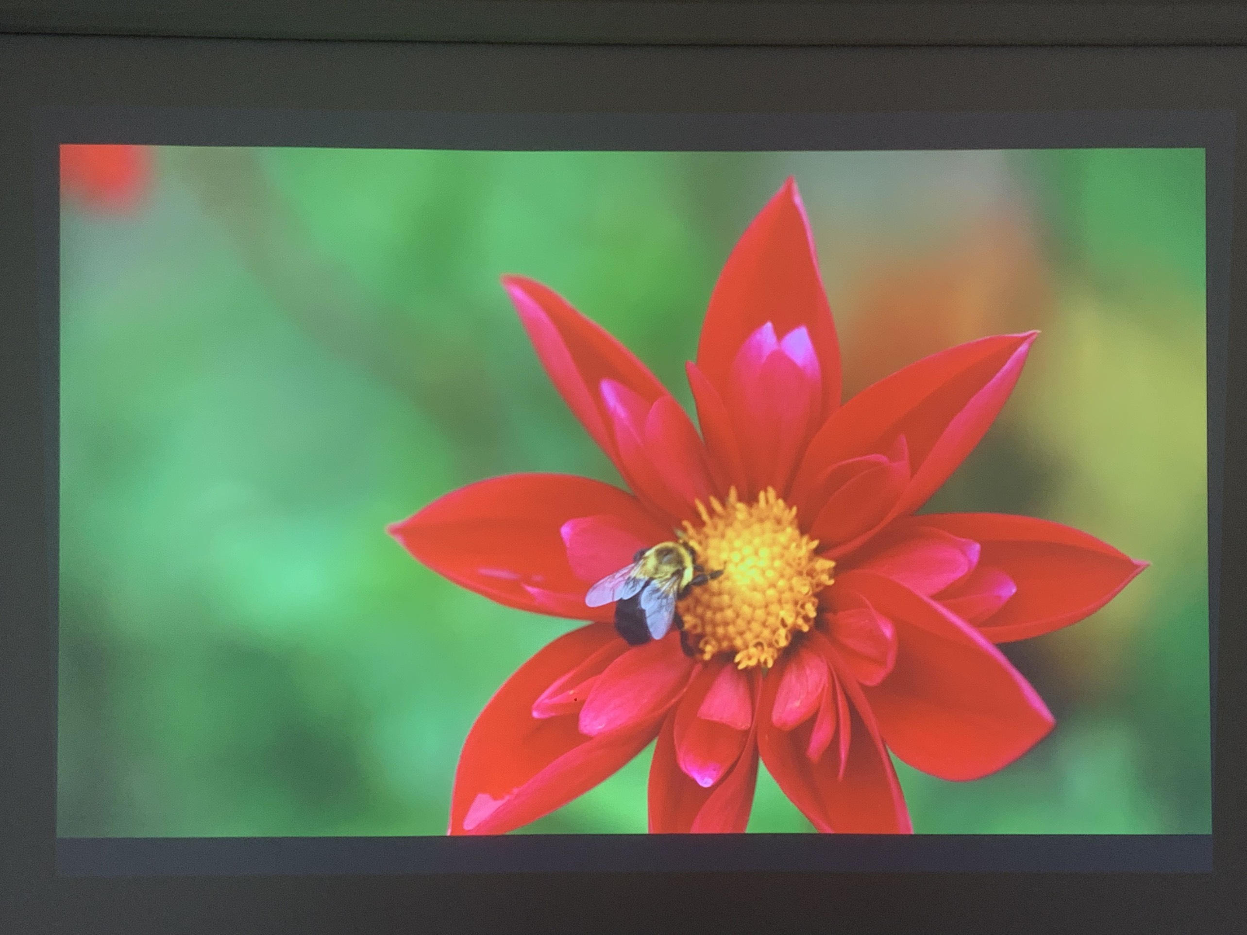 Máy chiếu cũ Epson EB-990U giá rẻ