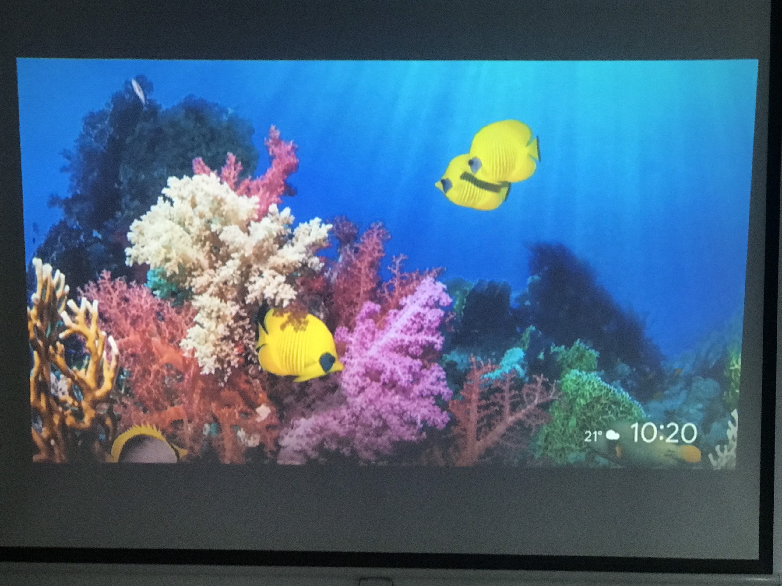 Máy chiếu cũ SONY VPL-DX120 giá rẻ