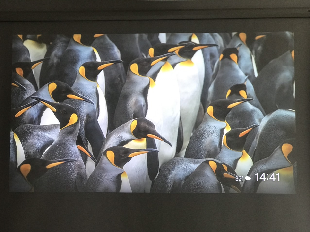 Máy chiếu cũ EPSON EH-TW6600