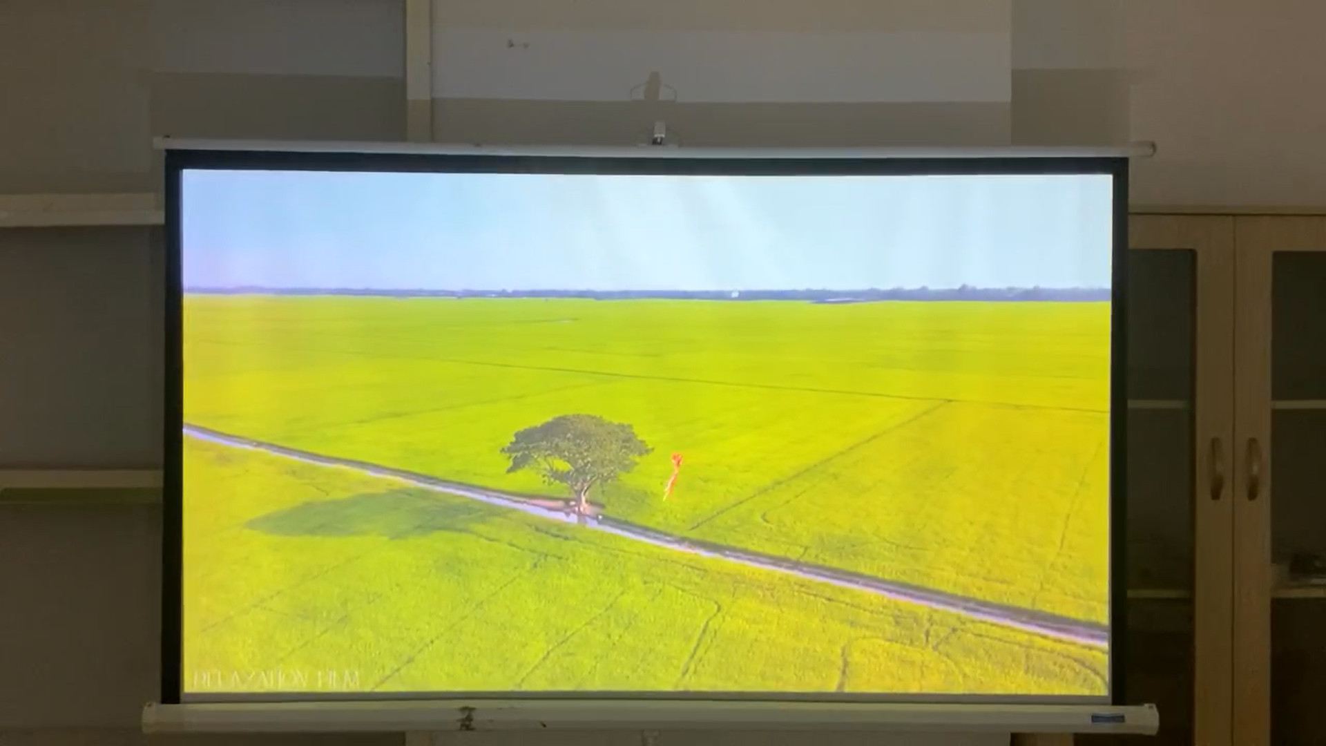 Máy chiếu cũ PANASONIC PT-LB423