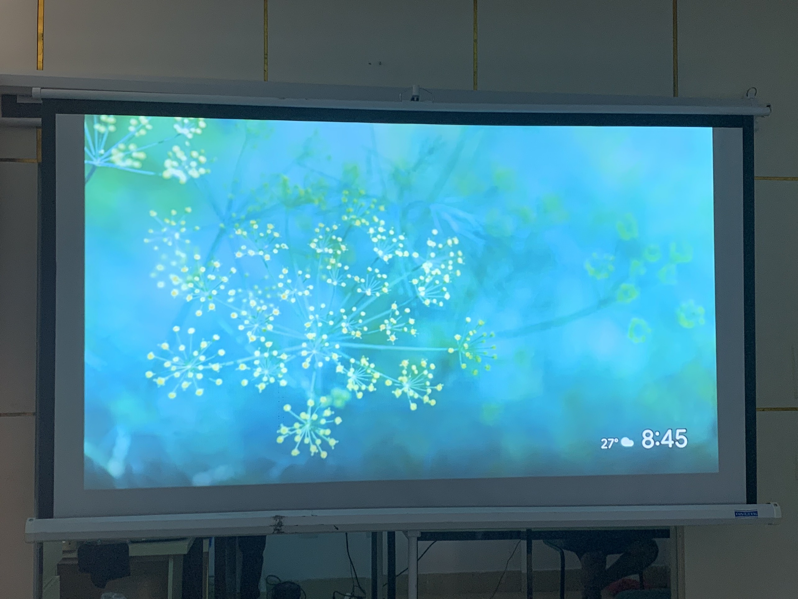 Máy chiếu Viewsonic SP16