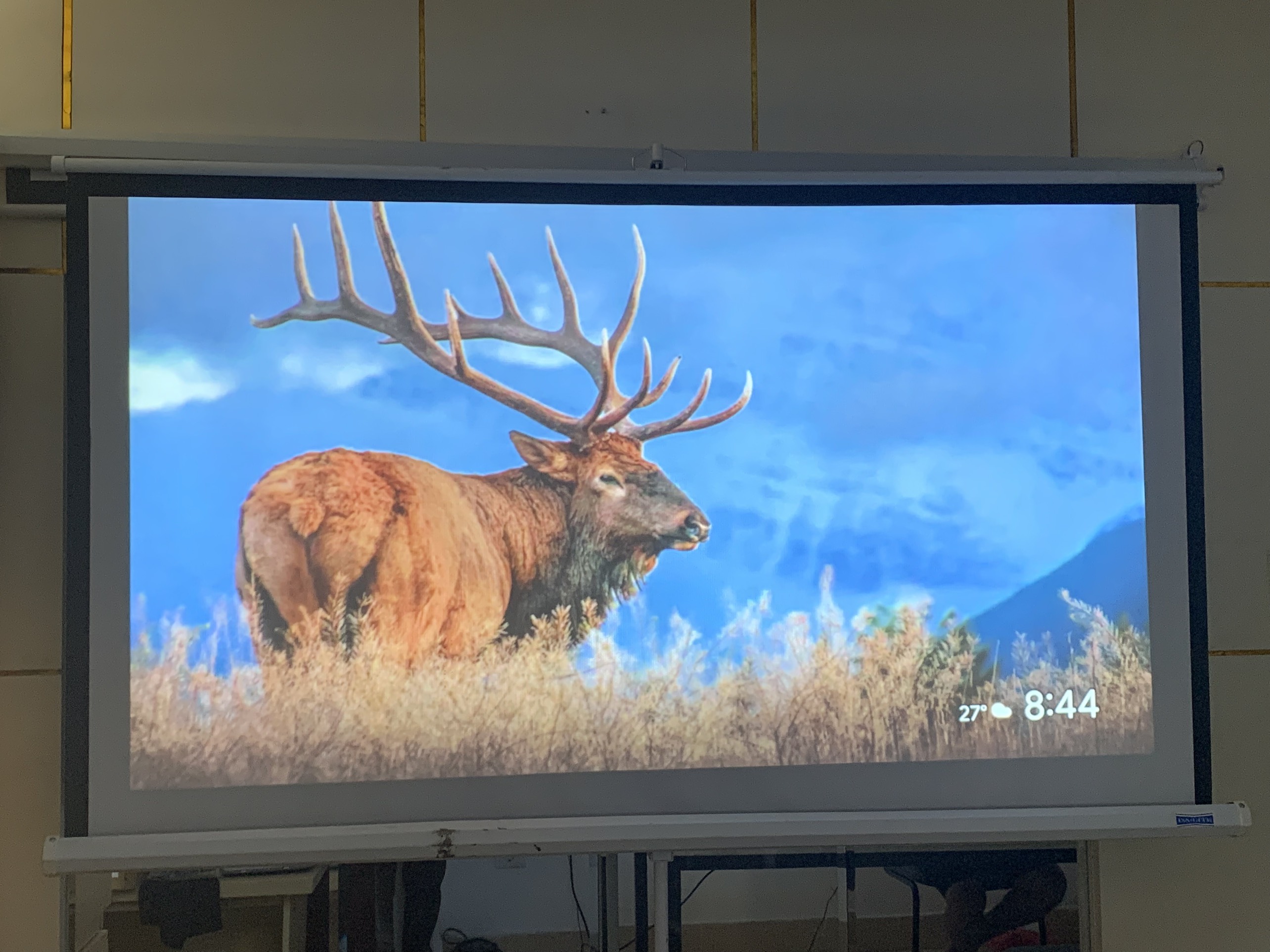 Máy chiếu Viewsonic SP16