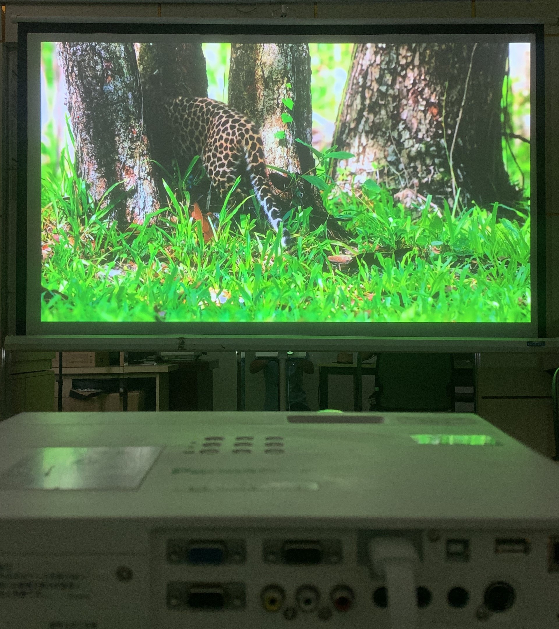 Máy Chiếu Panasonic PT-VX425N