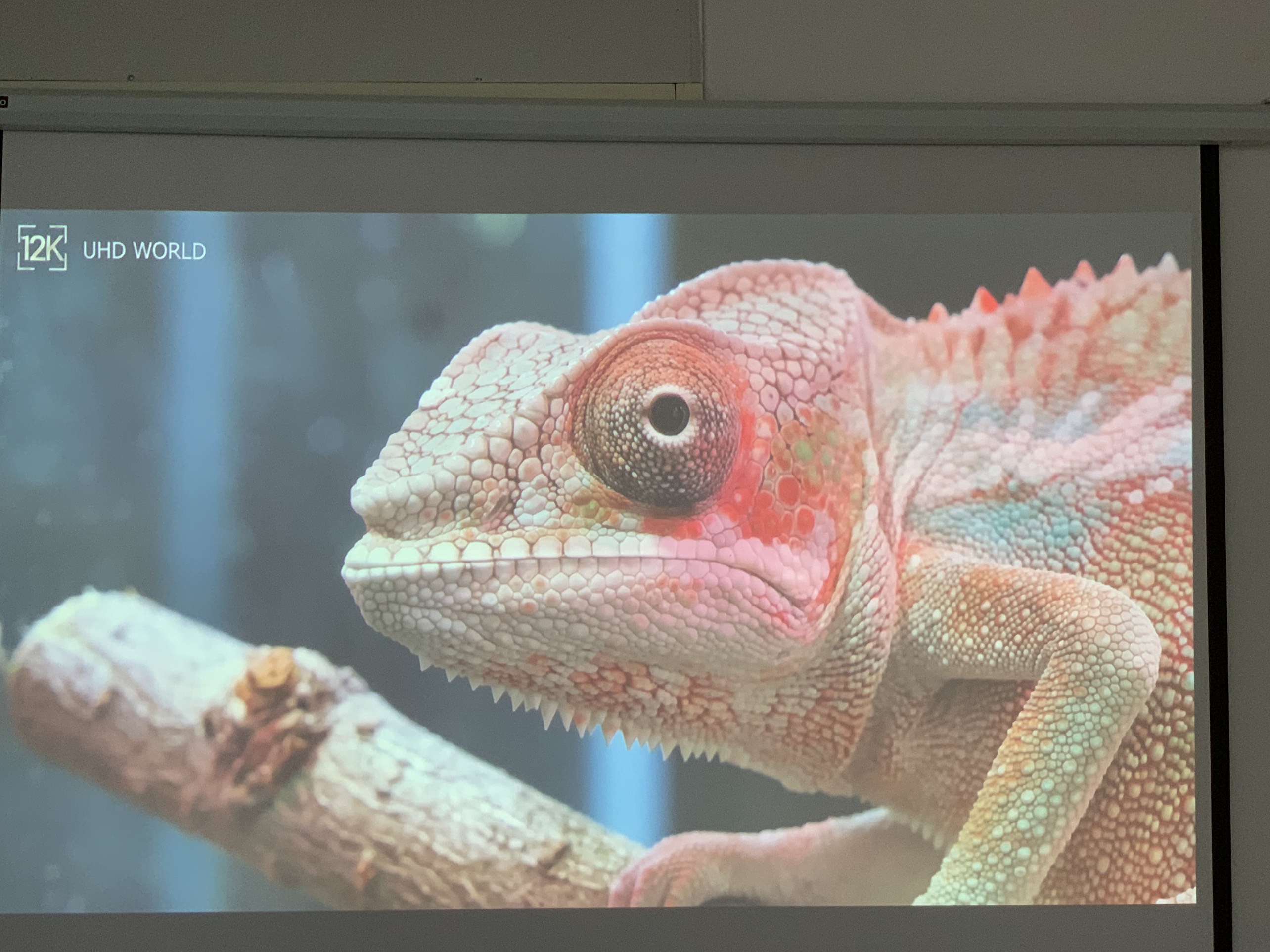 Máy chiếu cũ Epson EB G6750WU