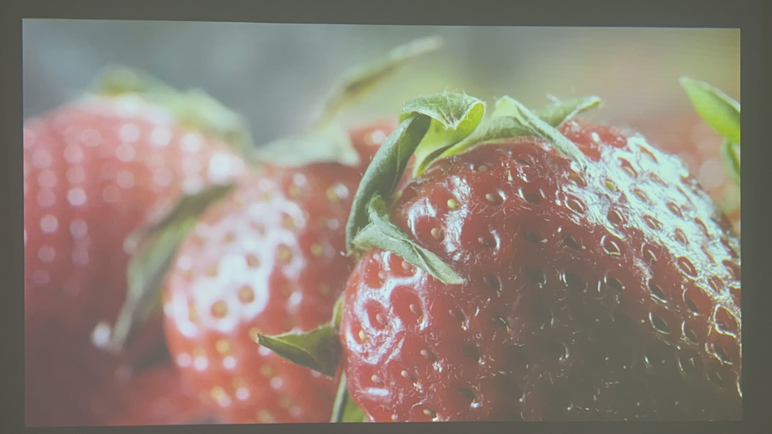 Máy chiếu cũ Panasonic PT-VW440