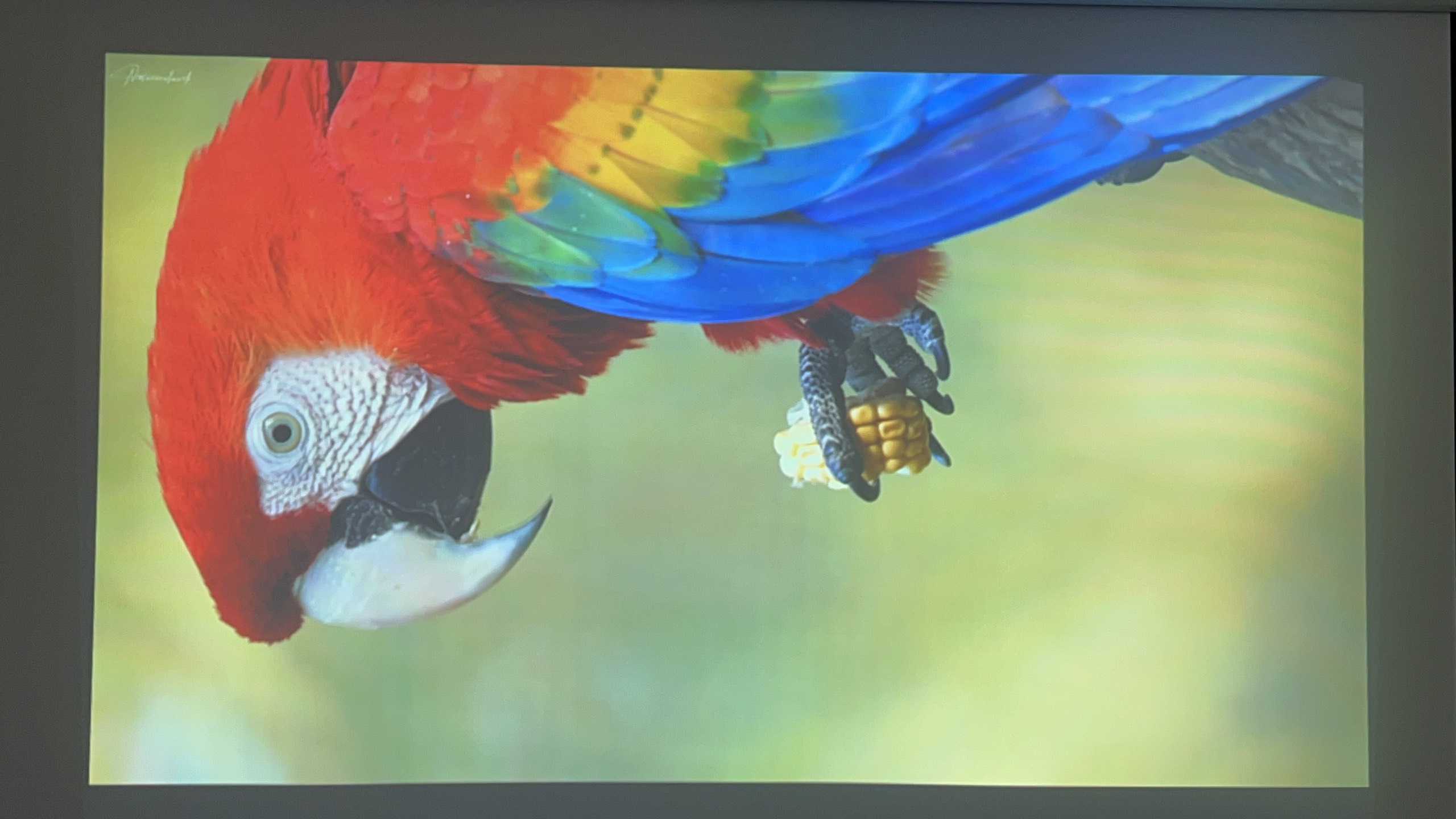 Máy chiếu cũ EPSON EB-X24