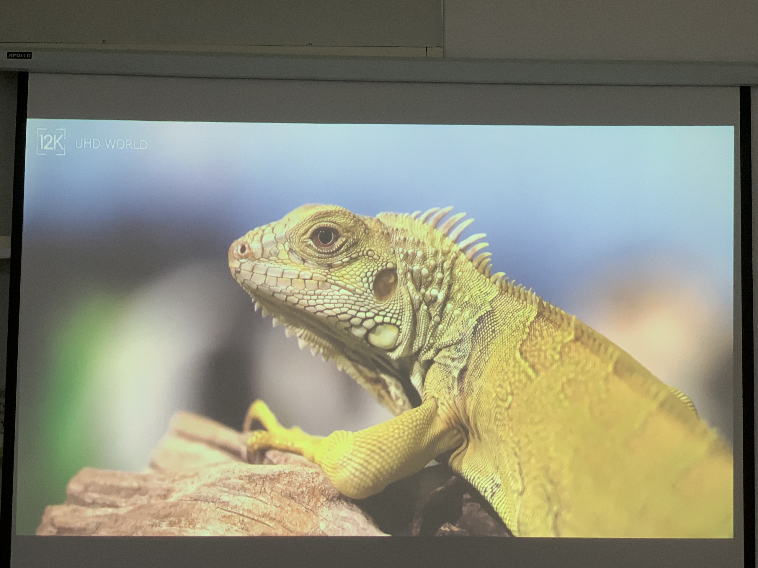 Máy chiếu cũ Epson EB G6750WU