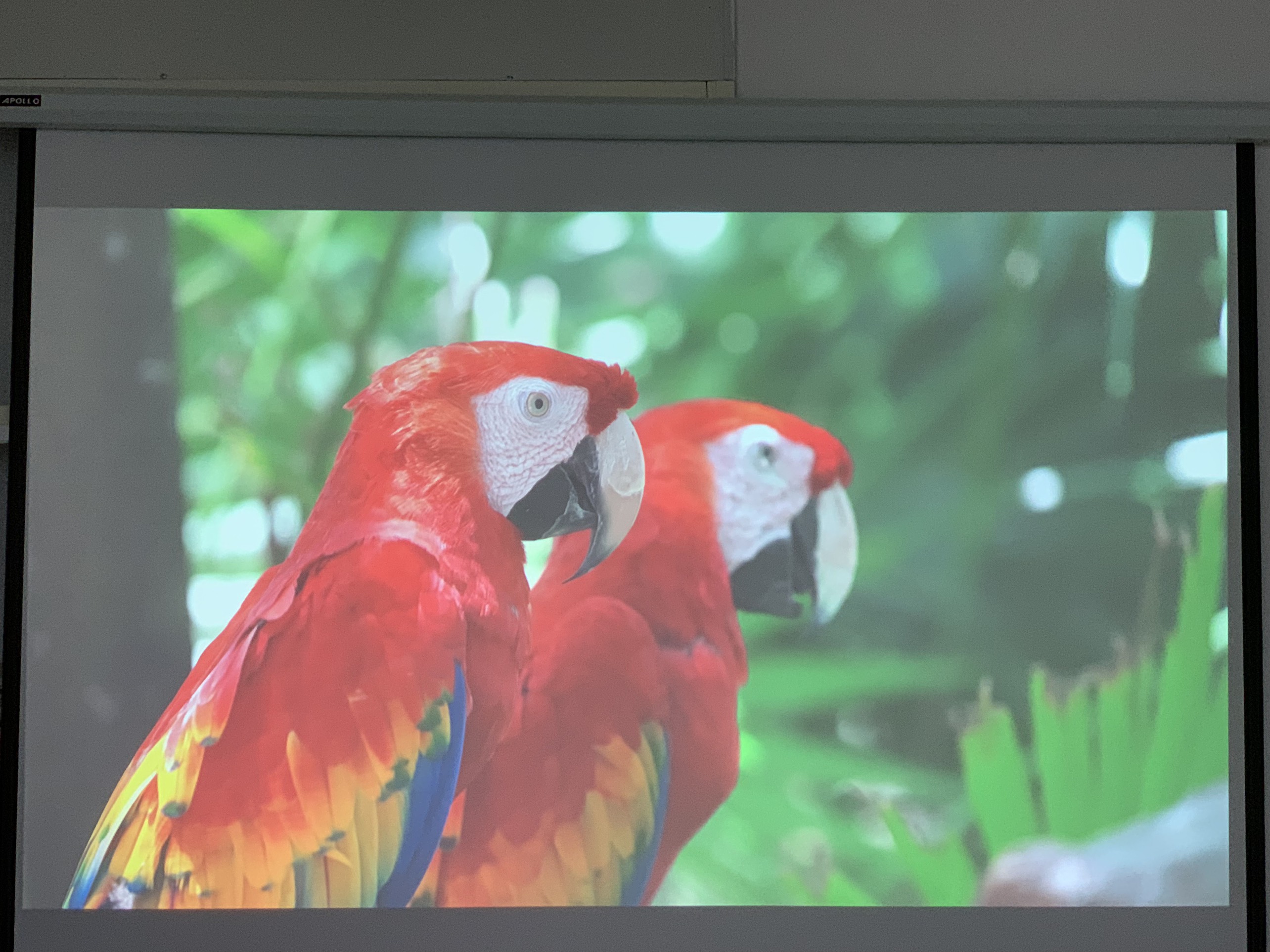 Máy chiếu cũ Epson EB G6750WU