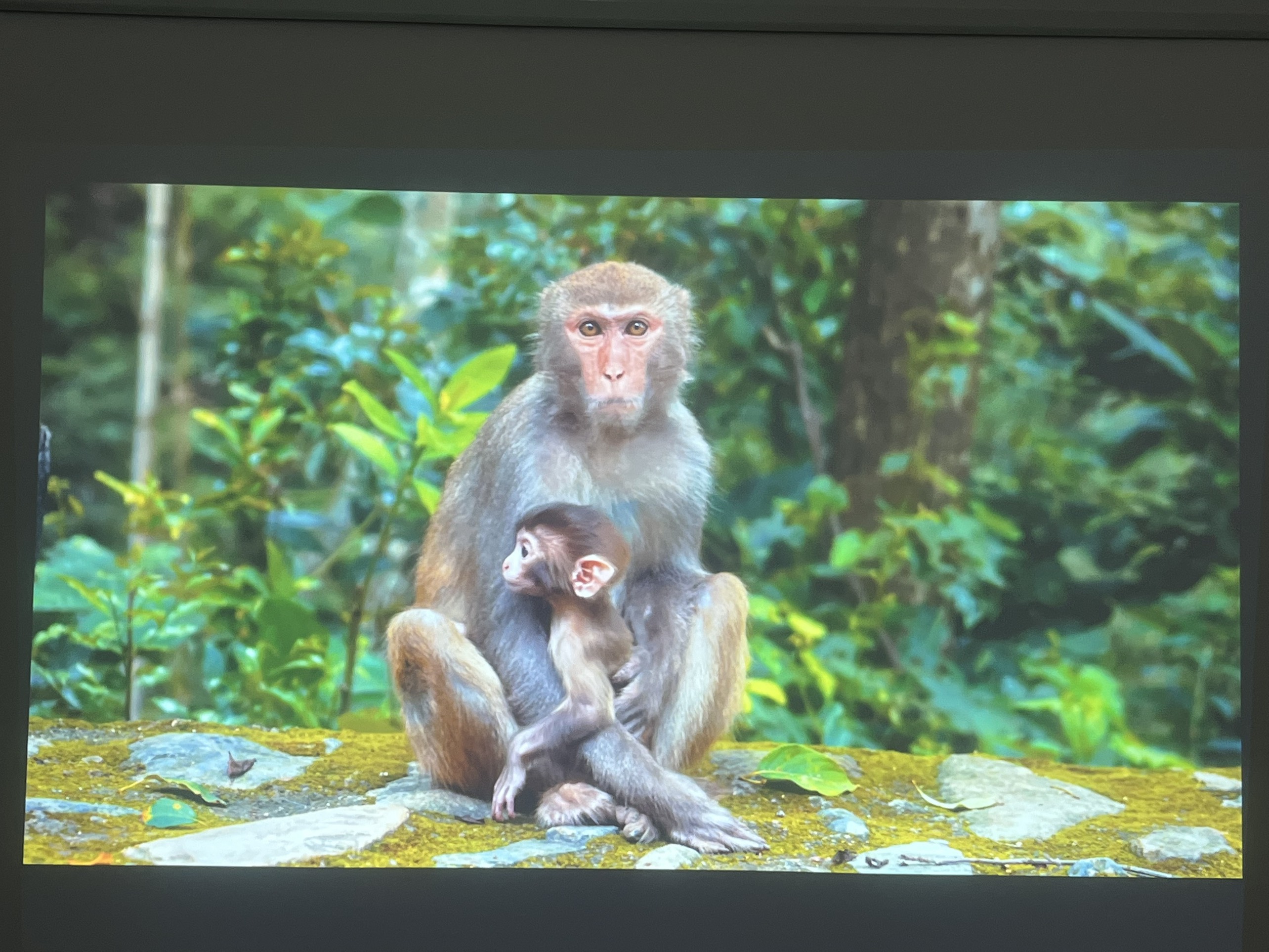 Máy chiếu cũ EPSON EB-U42