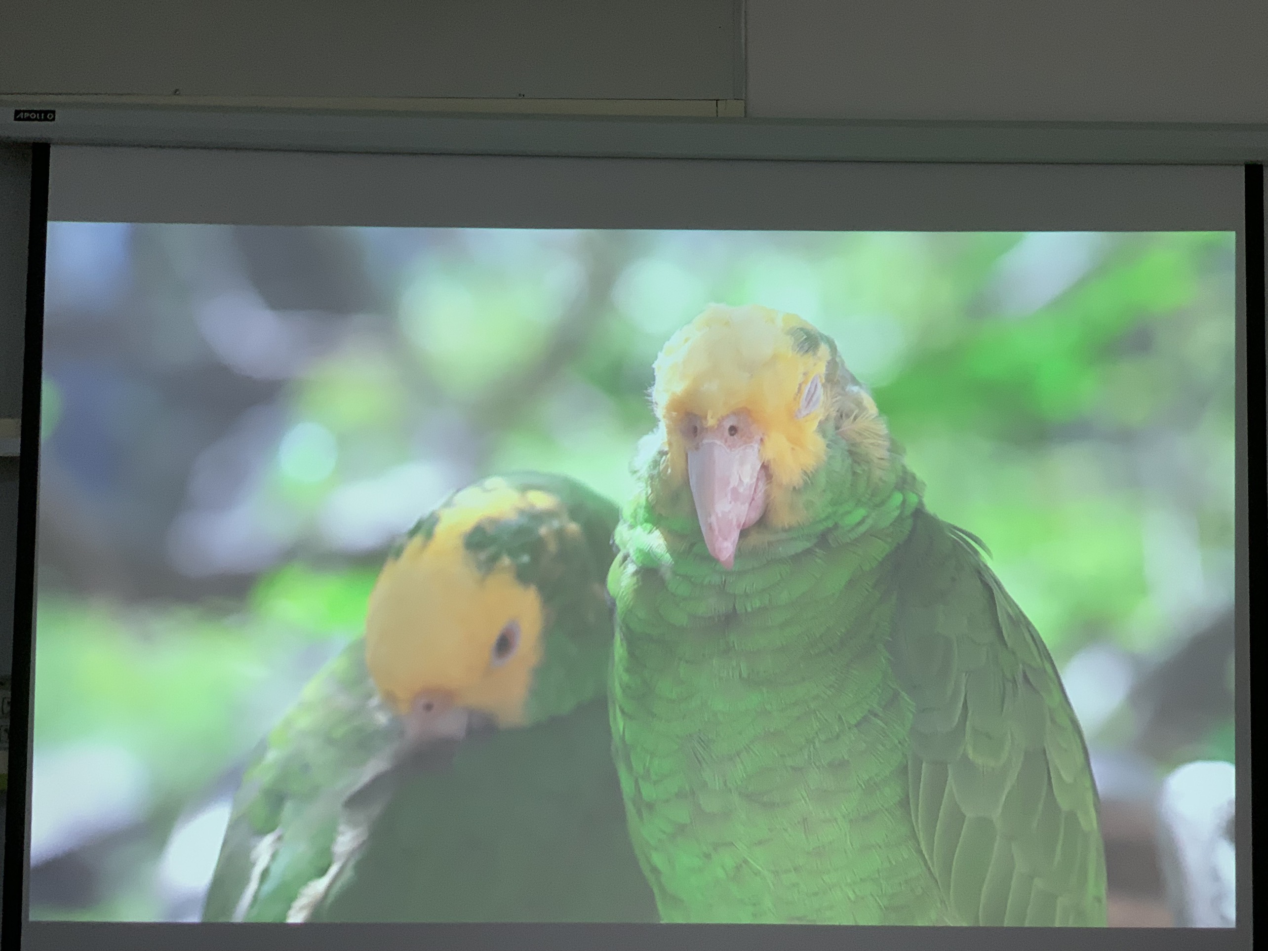 Máy chiếu cũ Epson EB G6750WU