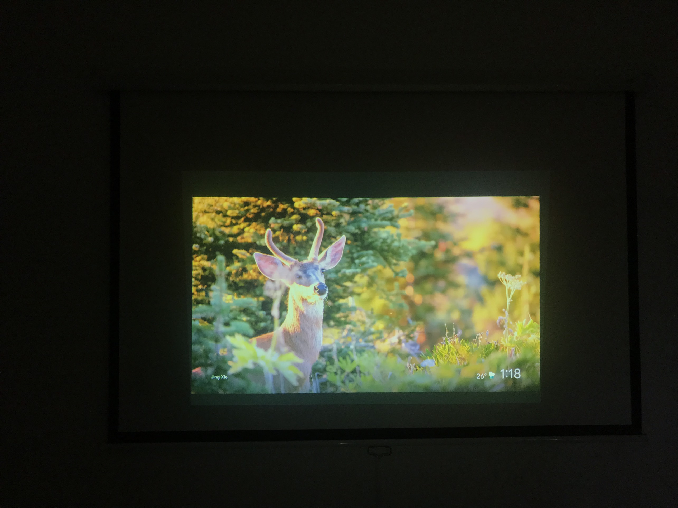 Máy chiếu Panasonic PT-LW373 giá rẻ