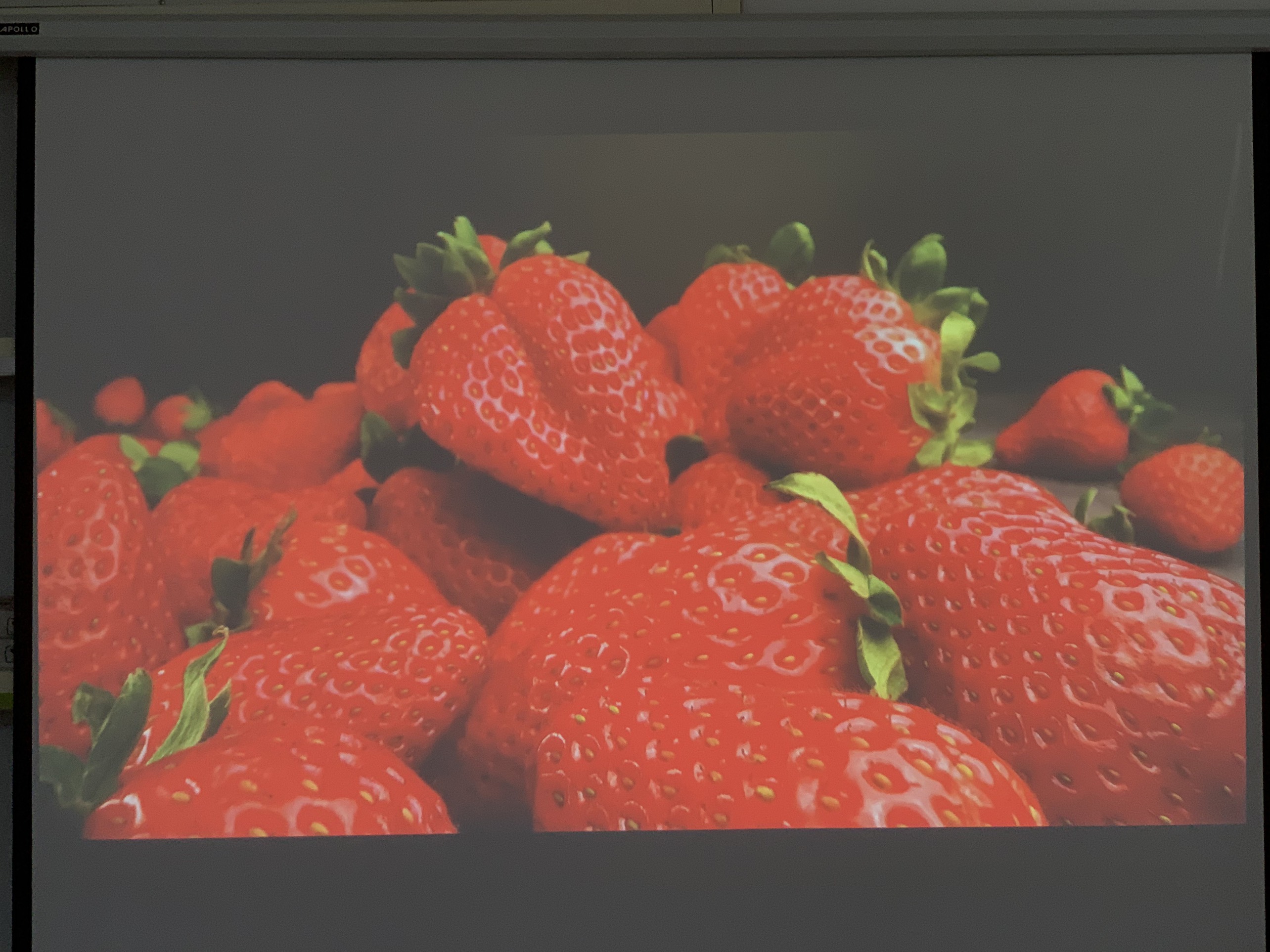 Máy chiếu cũ Epson EB G6750WU