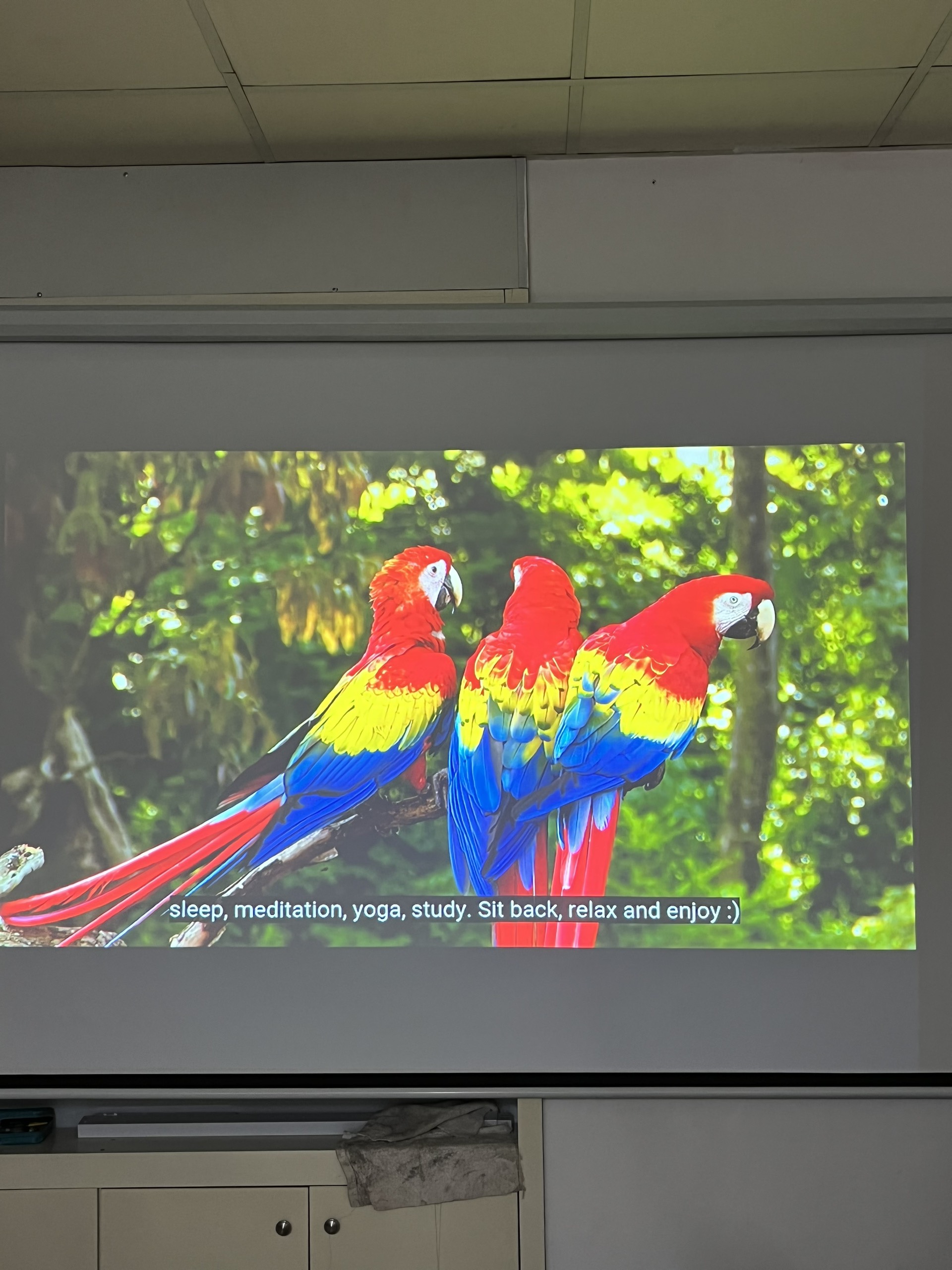 Máy chiếu cũ Panasonic PT-FX400 giá rẻ