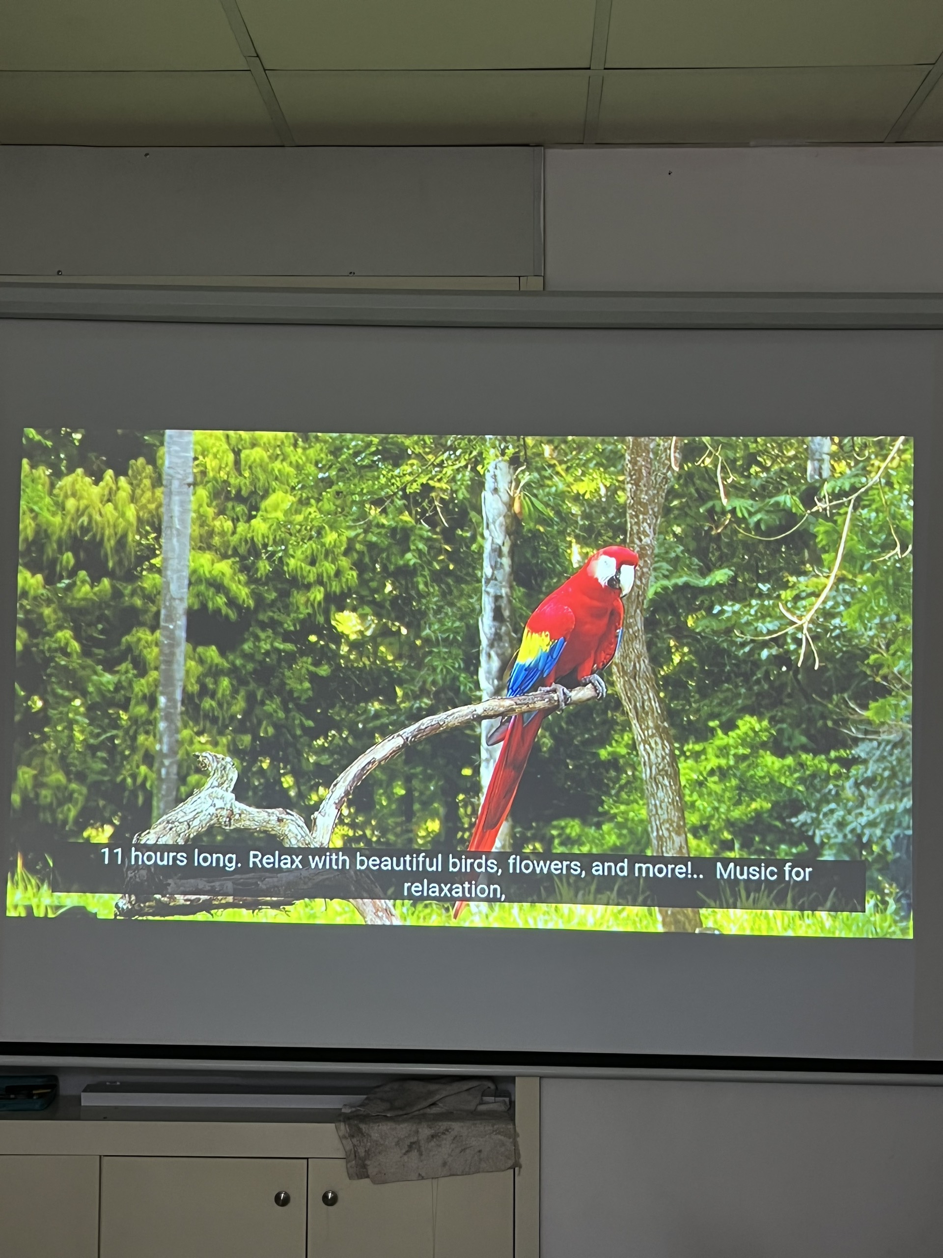 Máy chiếu cũ Panasonic PT-FX400 giá rẻ