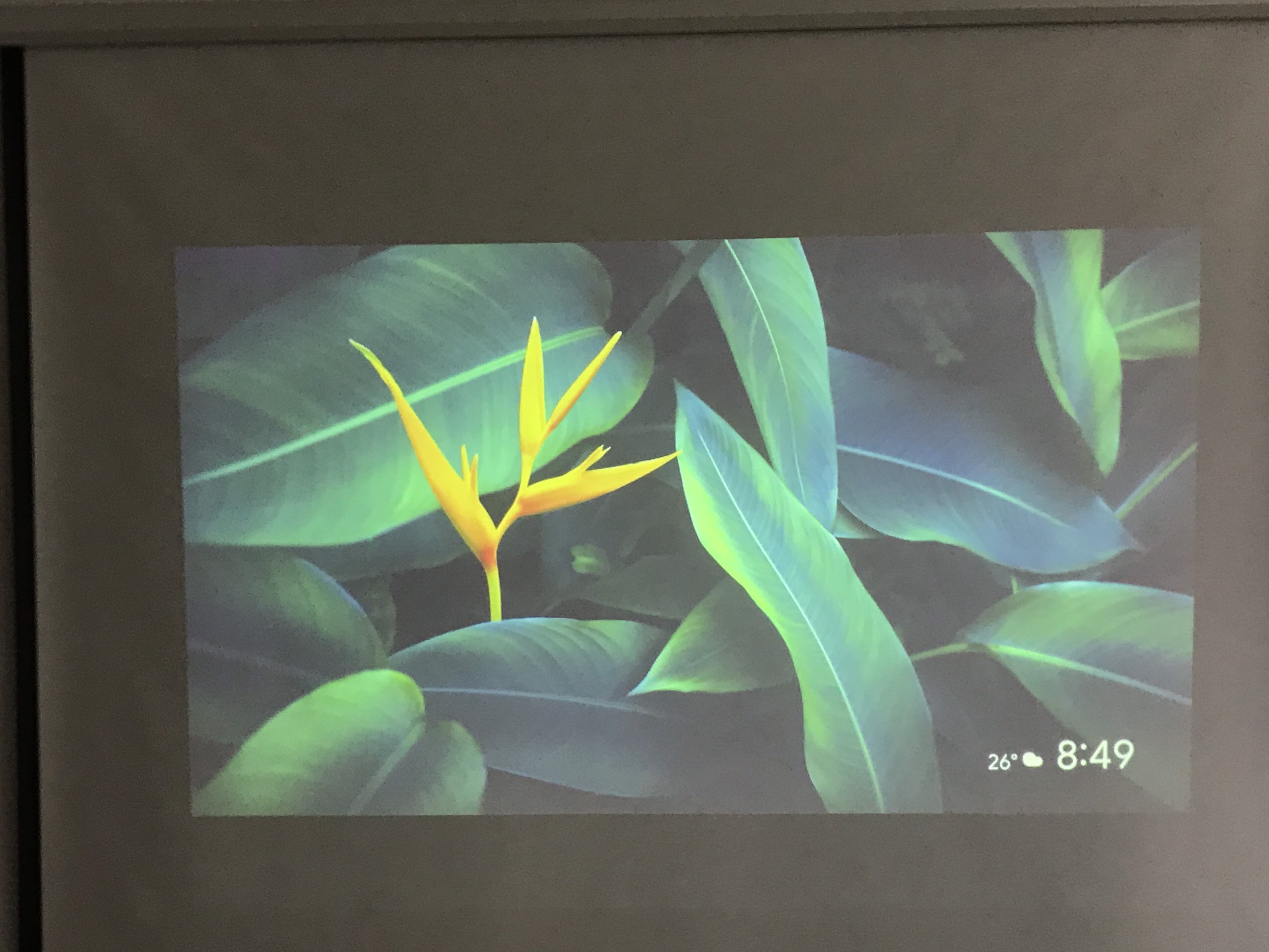 Máy chiếu cũ EPSON EB-1960