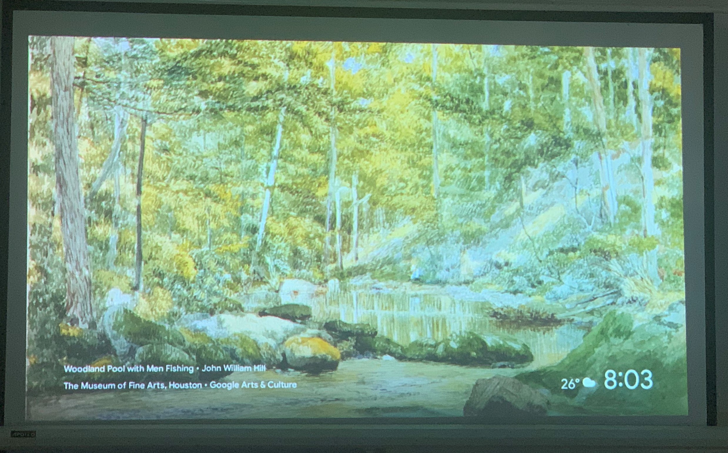 Máy chiếu cũ NEC PA550W