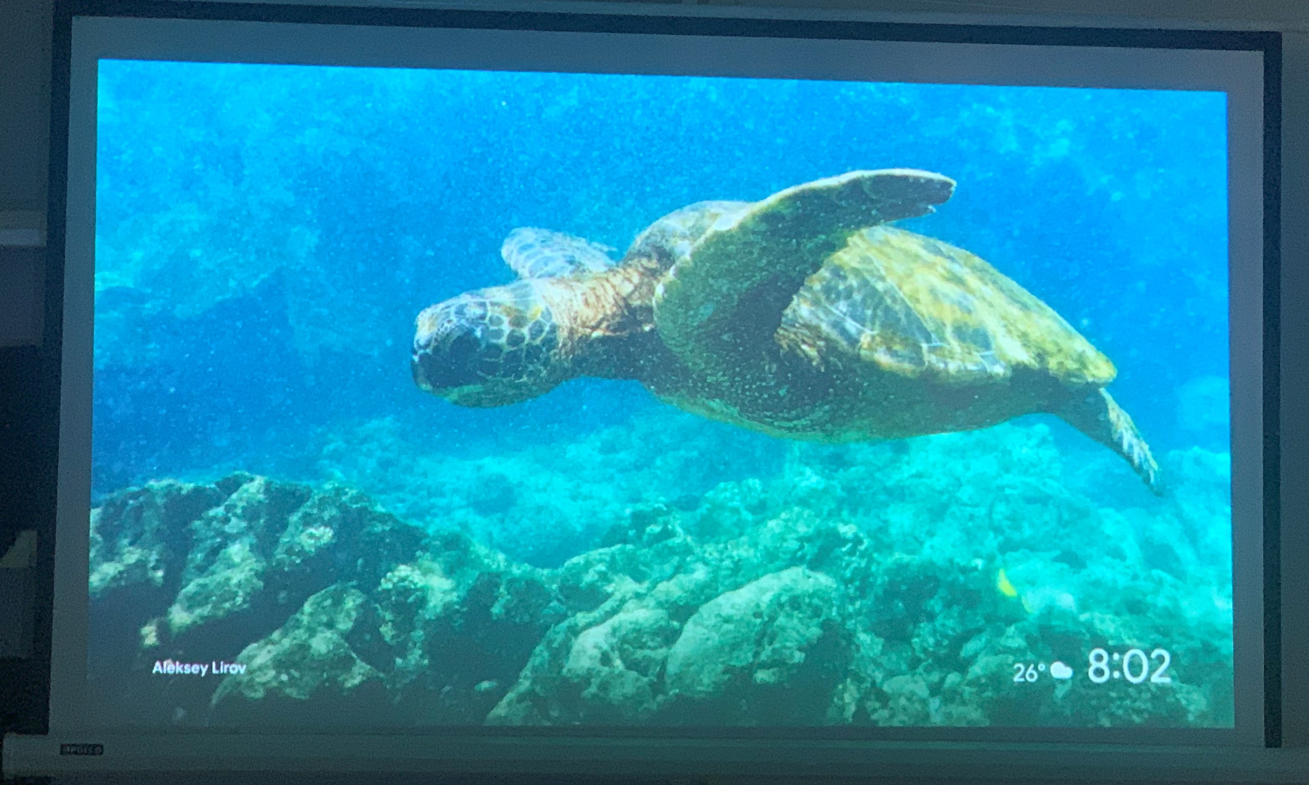 Máy chiếu cũ NEC PA550W