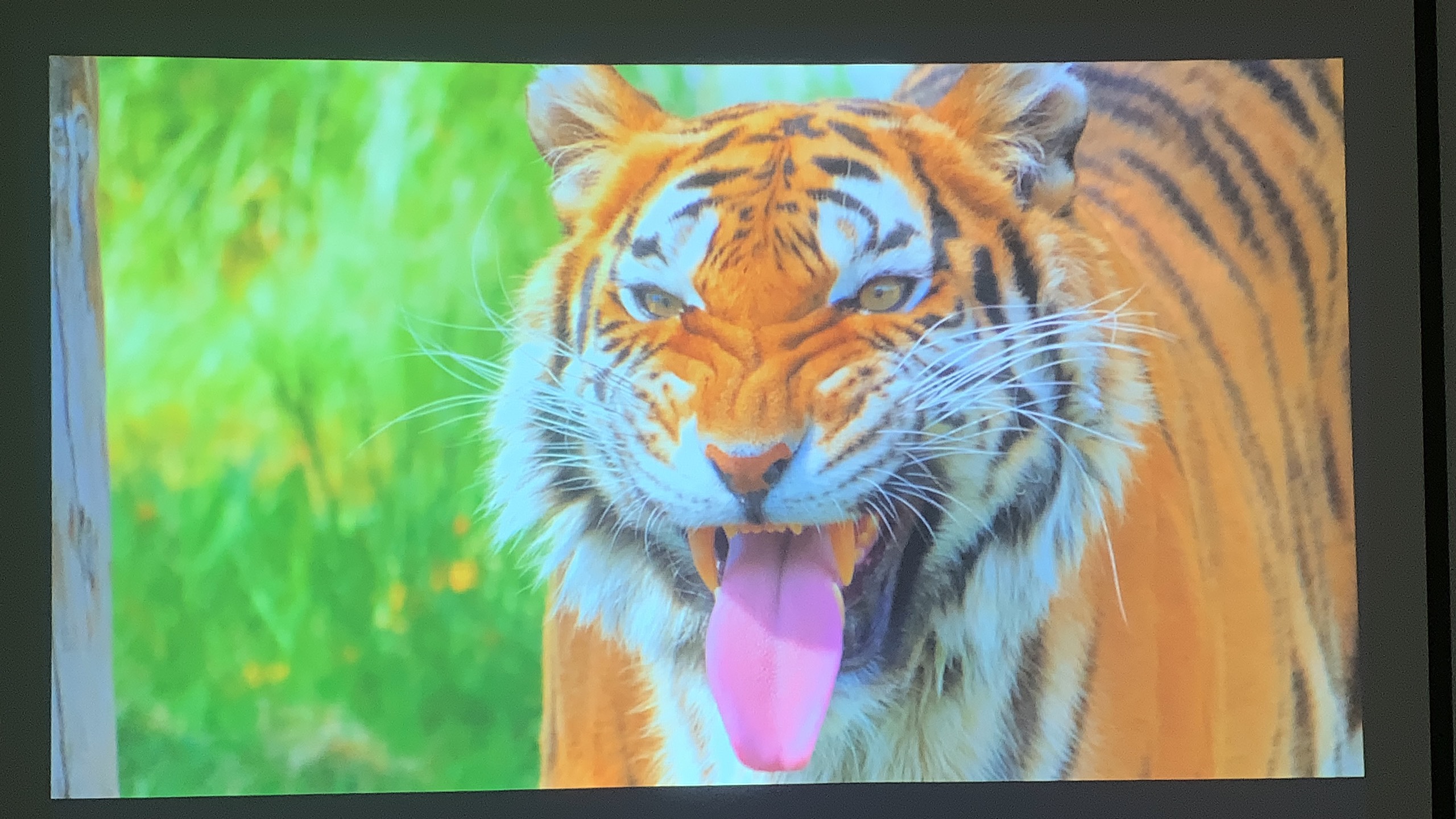 Máy chiếu cũ Epson EB-W41