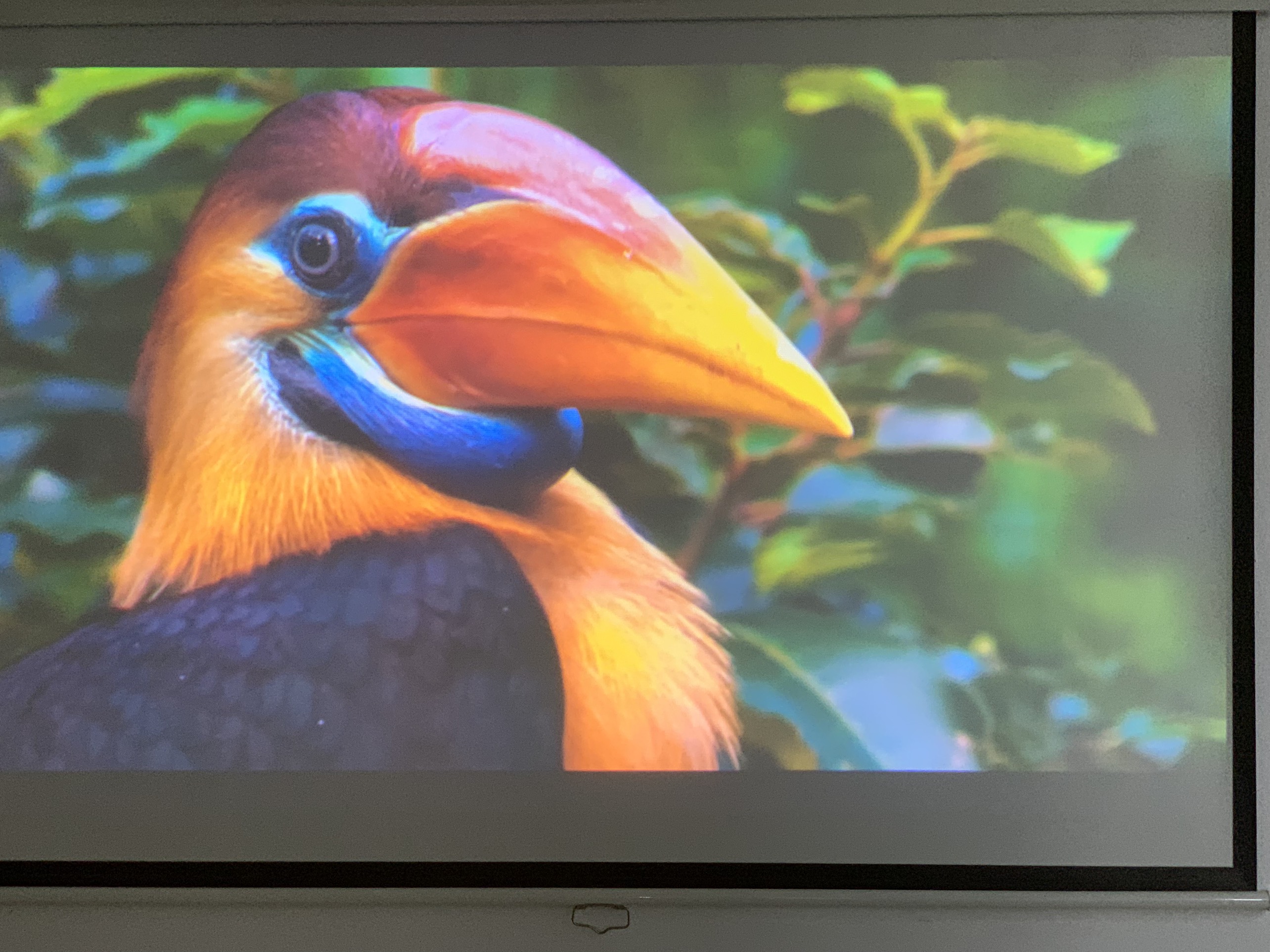 Máy chiếu cũ Sony EW130 giá rẻ