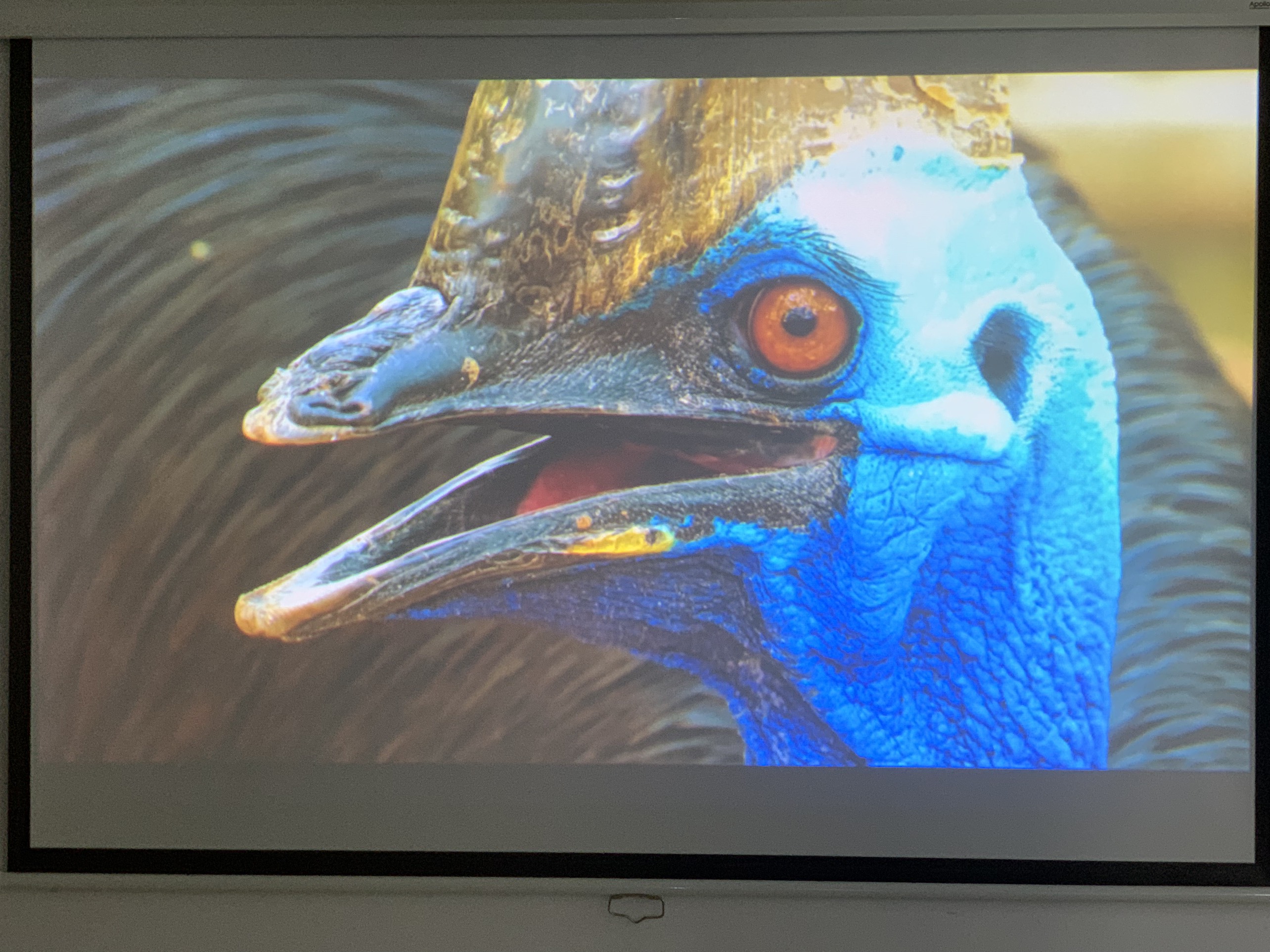 Máy chiếu cũ Sony EW130 giá rẻ