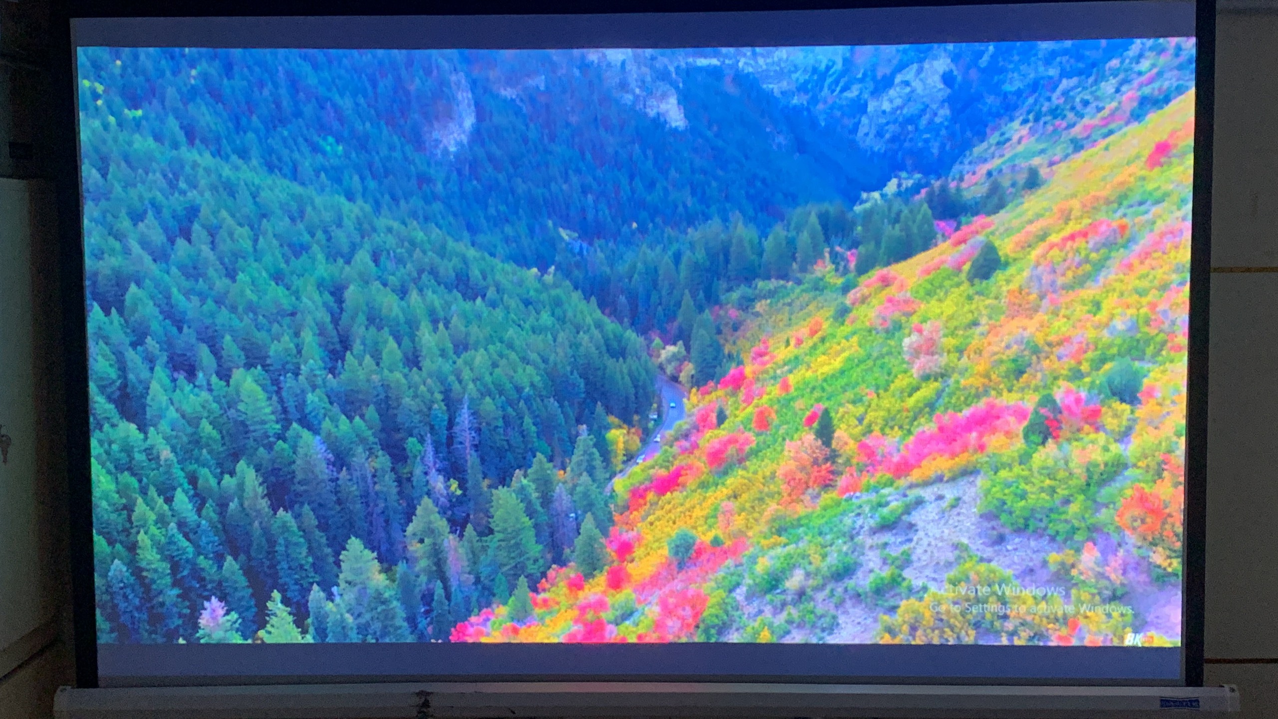 Máy chiếu EPSON EB-W51