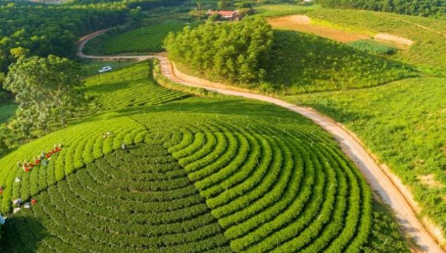 Thuê máy chiếu Thái Nguyên