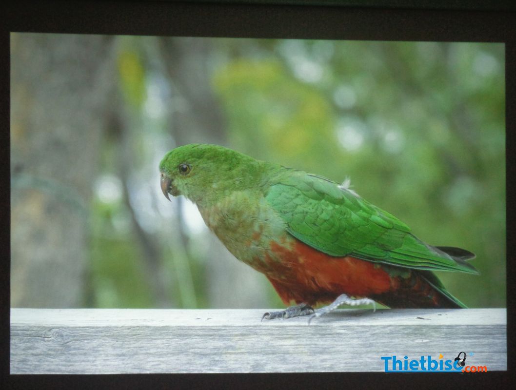 Máy chiếu cũ Viewsonic SP16