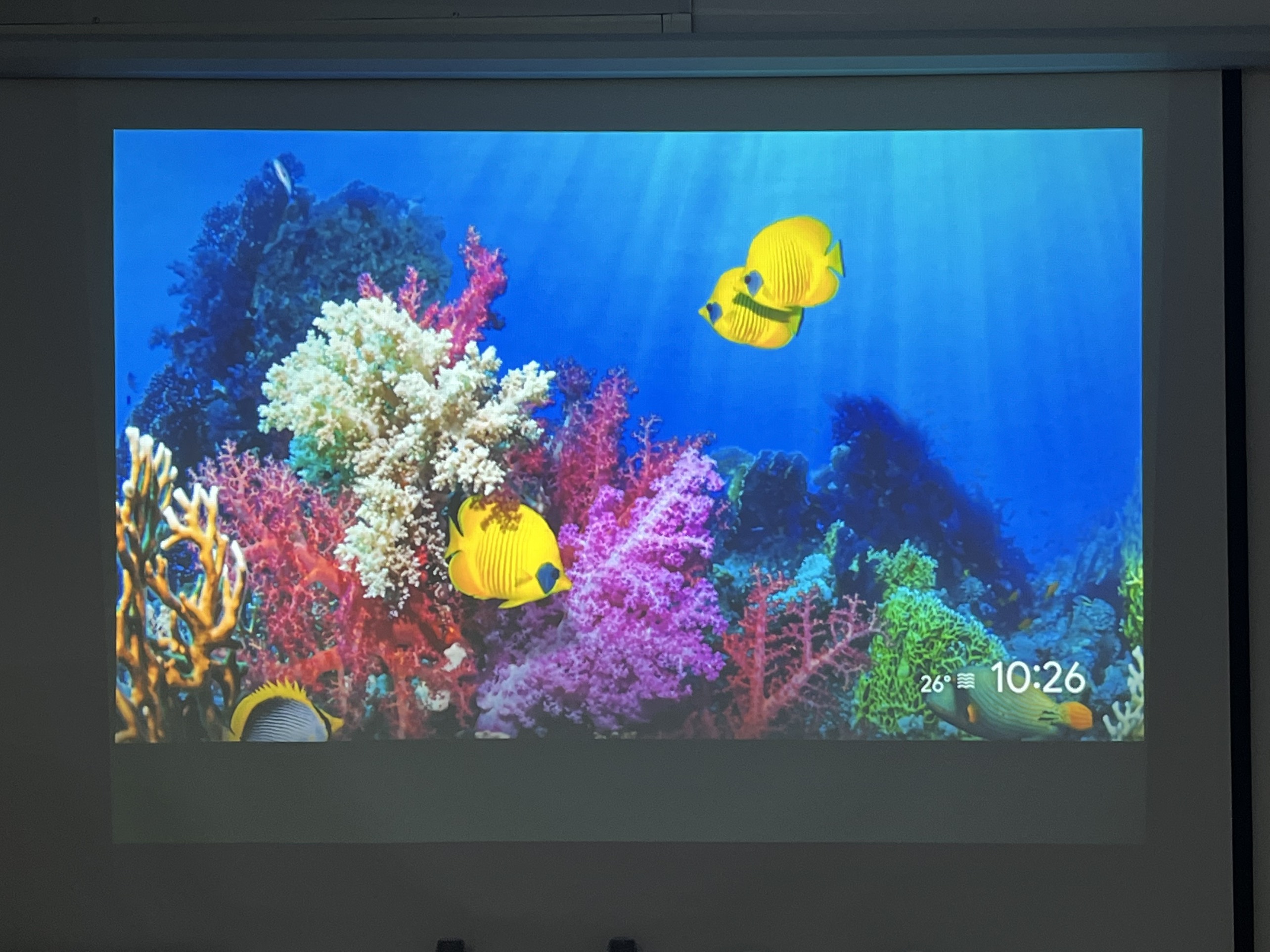 Máy chiếu cũ Panasonic PT-LW373