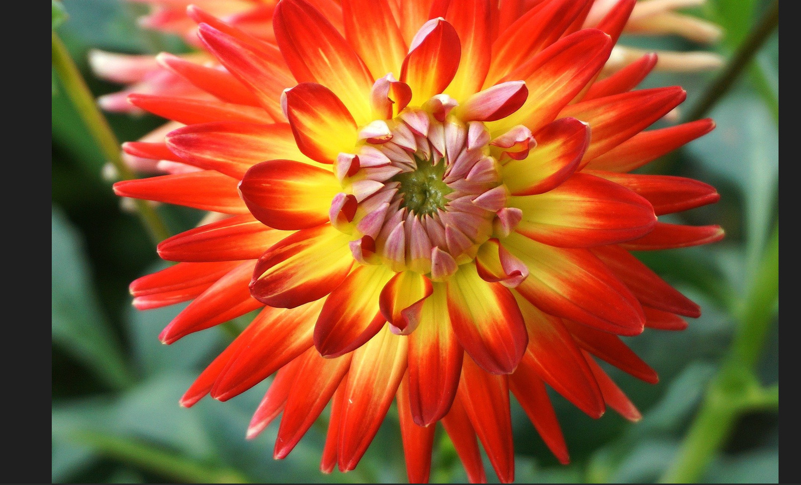 máy chiếu BenQ MW512 cũ