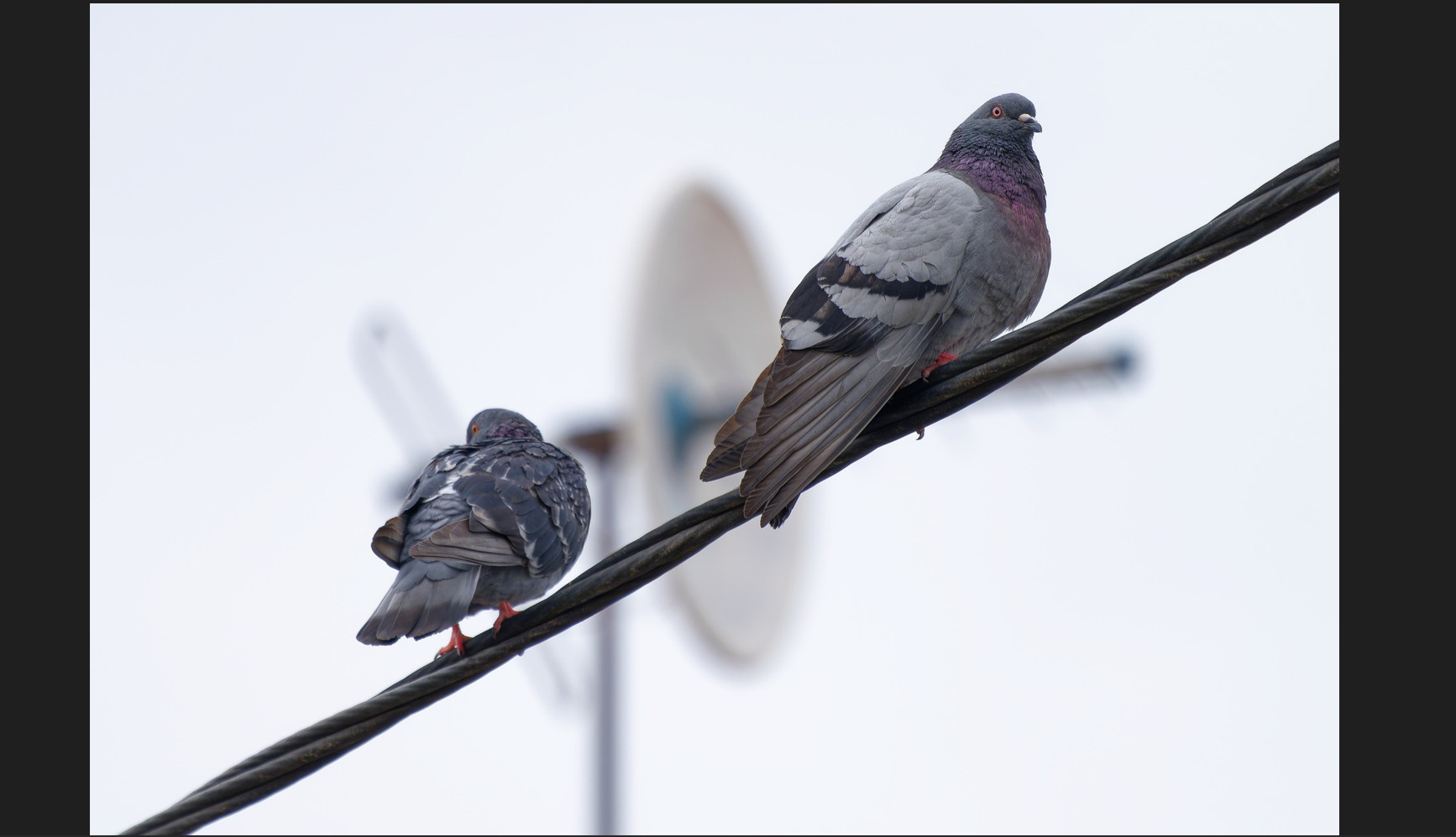 Máy chiếu cũ EIKI EK-302X