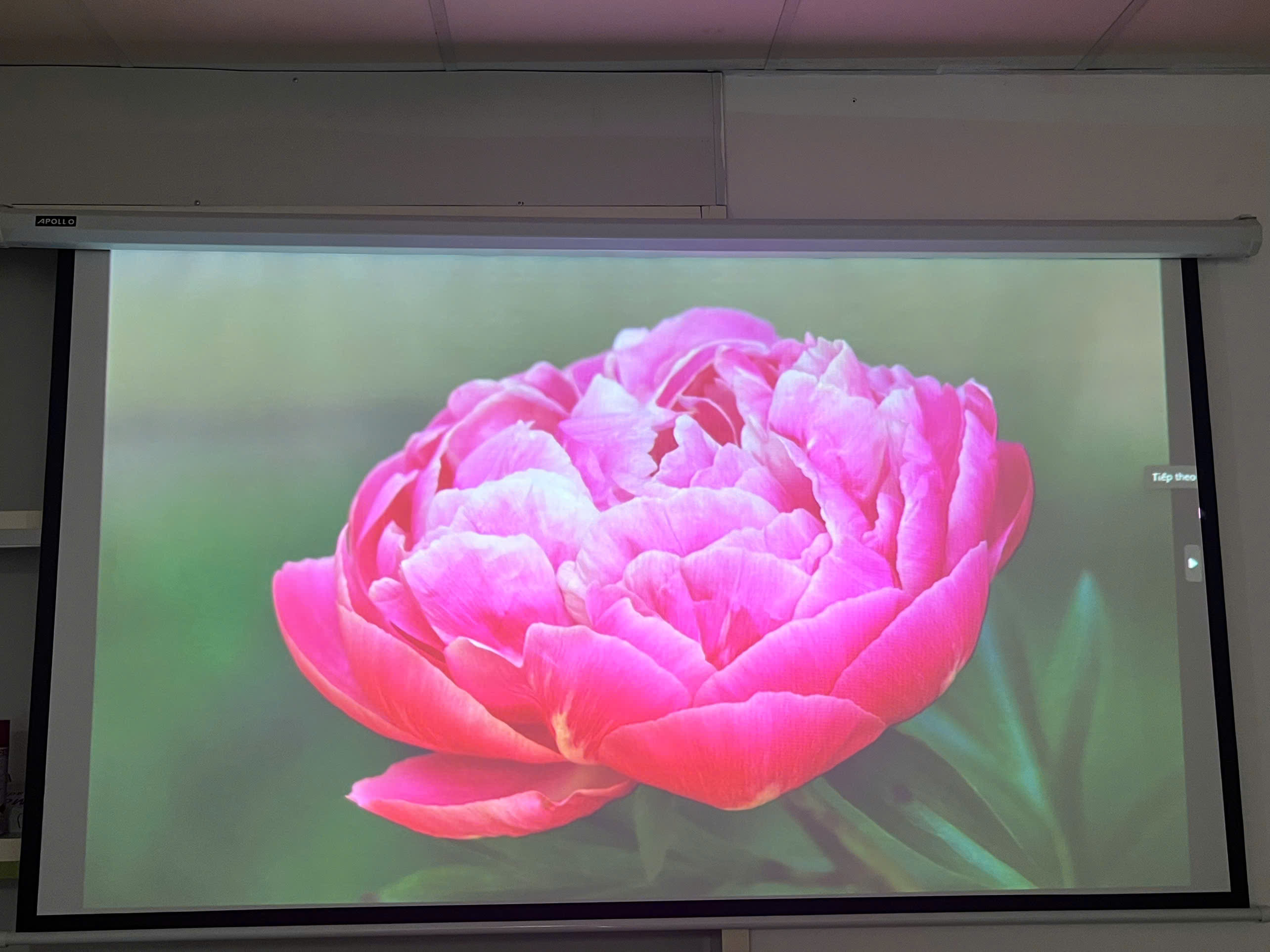 Máy Chiếu Cũ Siêu Gần EPSON EB-685WT