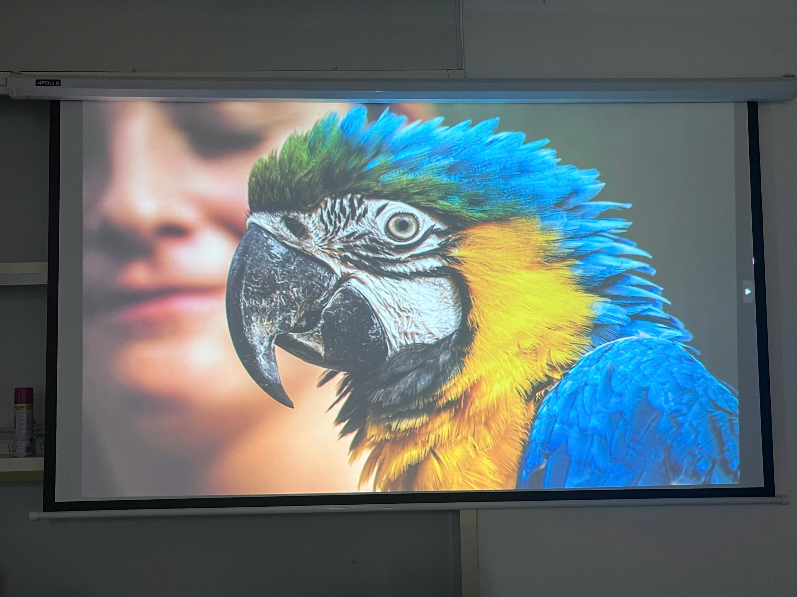 Máy Chiếu Cũ EPSON EB-685WT