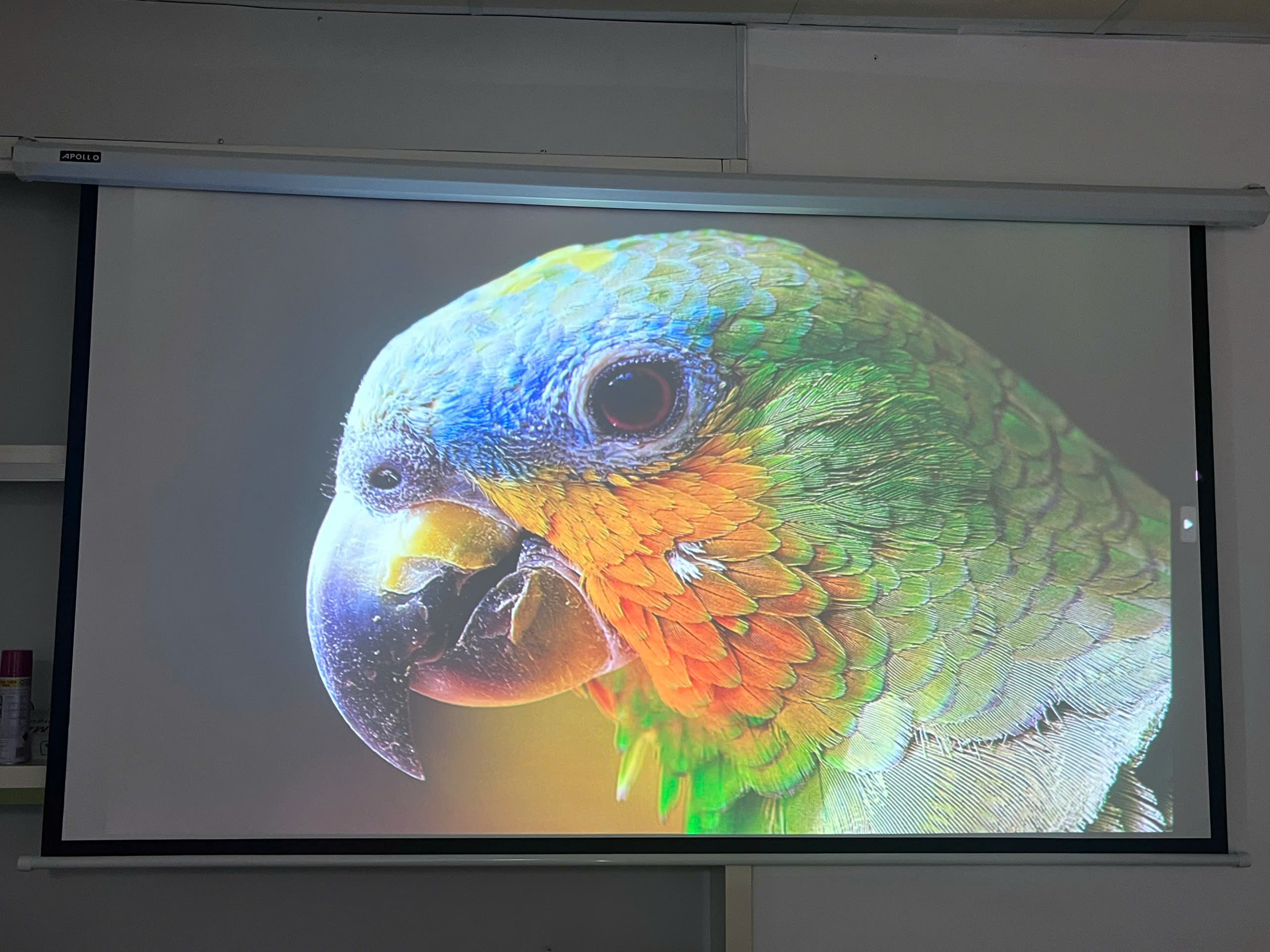 Máy Chiếu Cũ Siêu Gần EPSON EB-685WT