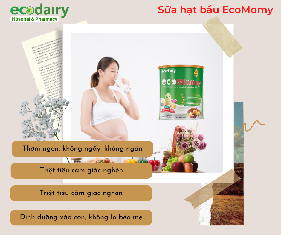 sữa hạt bầu ecomomy