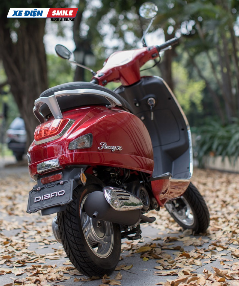 Chính sách bảo hành và dịch vụ hậu mãi khi mua xe Dibao Pansy X
