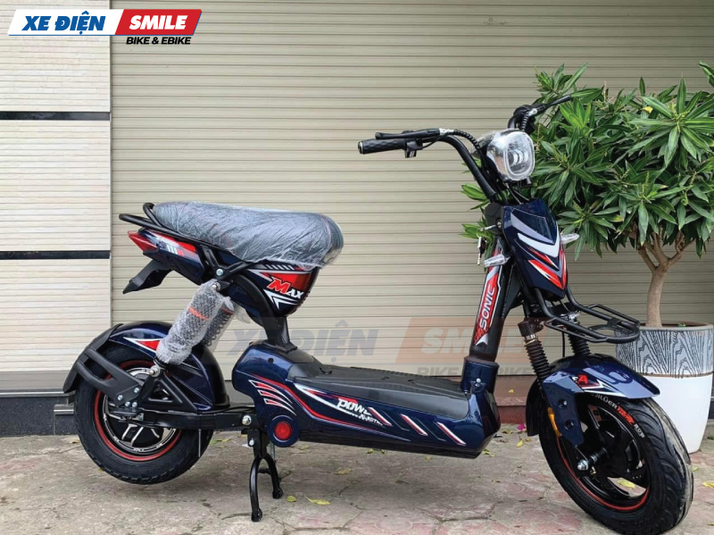 Lưu ý quan trọng khi mua xe điện 133